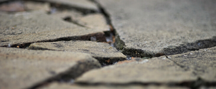 Closeup photo of a cracked and uneven sidewalk