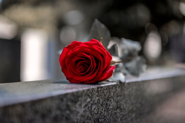 Flower on memorial stone