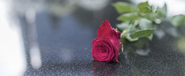 Red rose on a marble grave stone